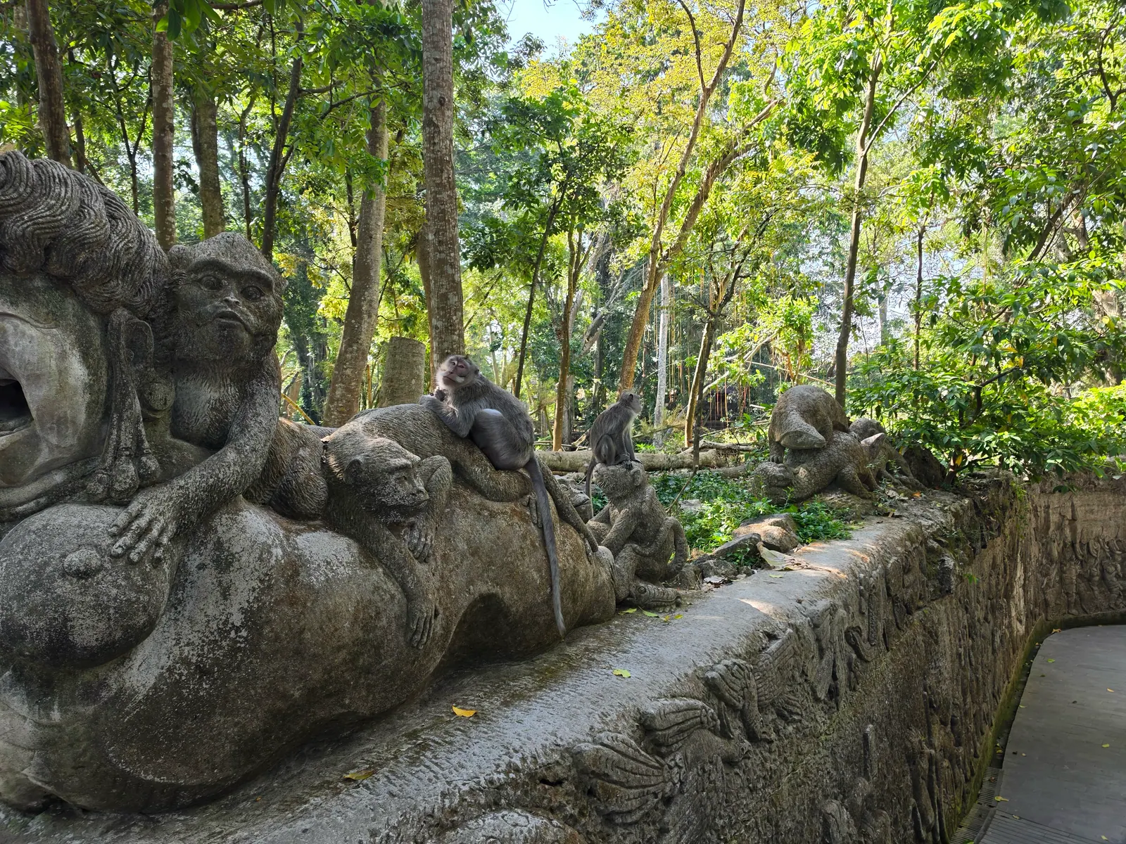 Cover Image of the Post